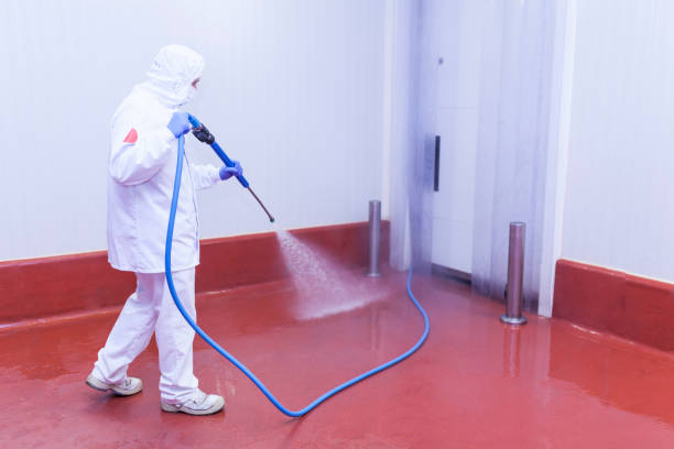 Playground Equipment Cleaning in Ocklawaha, FL